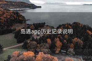 岛遇app历史记录说明