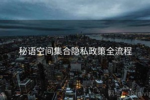 秘语空间集合隐私政策全流程