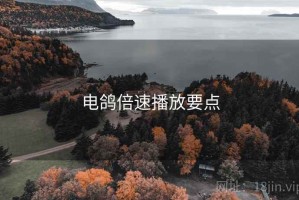 电鸽倍速播放要点