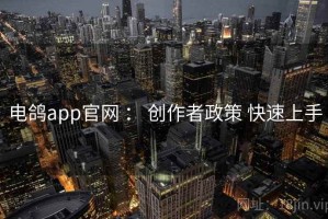 电鸽app官网 ： 创作者政策 快速上手