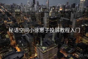 秘语空间小徐崽子投屏教程入门