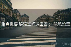 重点提要 秘语空间微密圈 ： 隐私设置