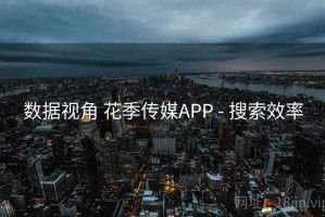 数据视角 花季传媒APP - 搜索效率