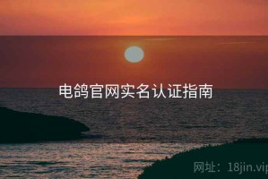 电鸽官网实名认证指南