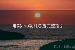 电鸽app功能总览完整指引