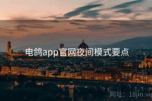 电鸽app官网夜间模式要点