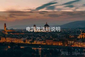 电鸽激活码说明