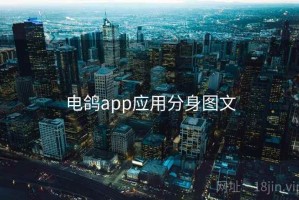 电鸽app应用分身图文