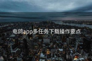 电鸽app多任务下载操作要点