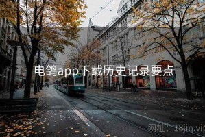 电鸽app下载历史记录要点