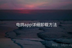 电鸽app详细卸载方法