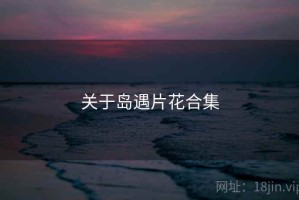 关于岛遇片花合集