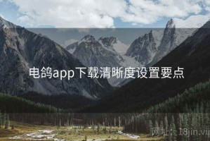 电鸽app下载清晰度设置要点