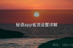 秘语app省流设置详解