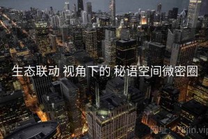 生态联动 视角下的 秘语空间微密圈