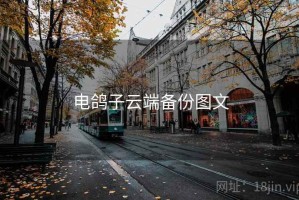 电鸽子云端备份图文