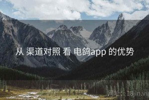 从 渠道对照 看 电鸽app 的优势