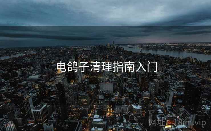 电鸽子清理指南入门