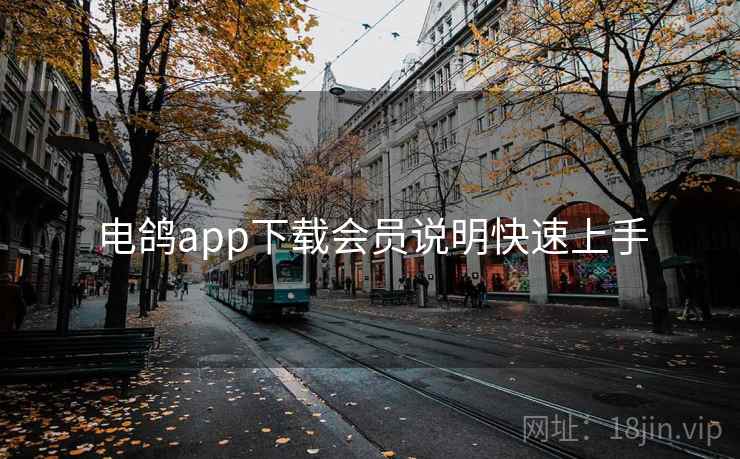 电鸽app下载会员说明快速上手 电鸽app下载会员说明快速上手