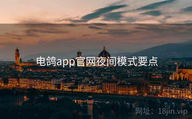 电鸽app官网夜间模式要点 电鸽app官网夜间模式要点