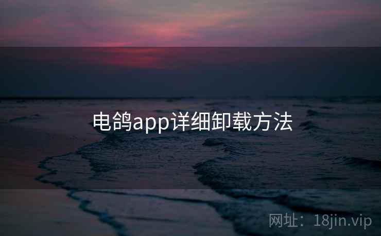 电鸽app详细卸载方法 电鸽app详细卸载方法