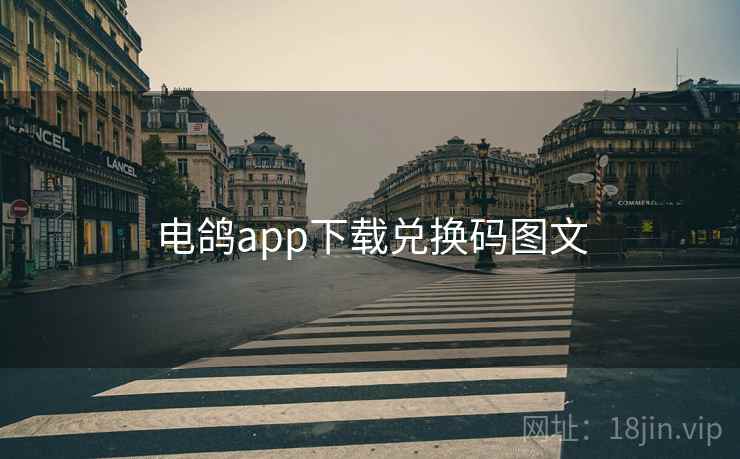 电鸽app下载兑换码图文 电鸽app下载兑换码图文