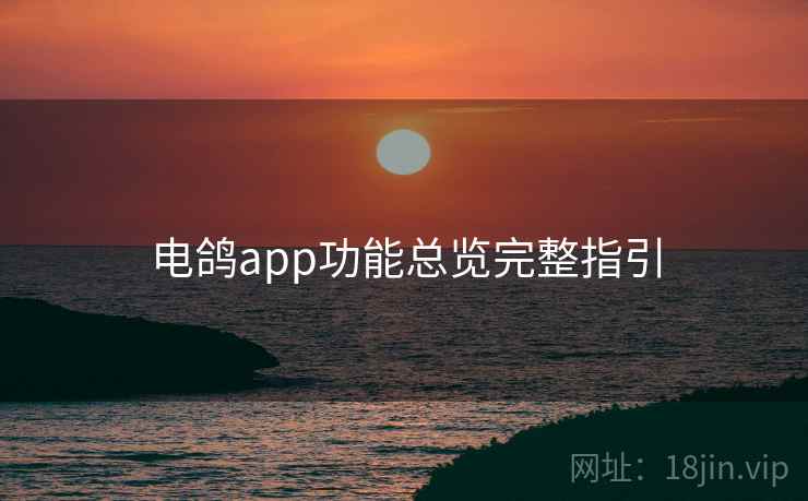 电鸽app功能总览完整指引 电鸽app功能总览完整指引