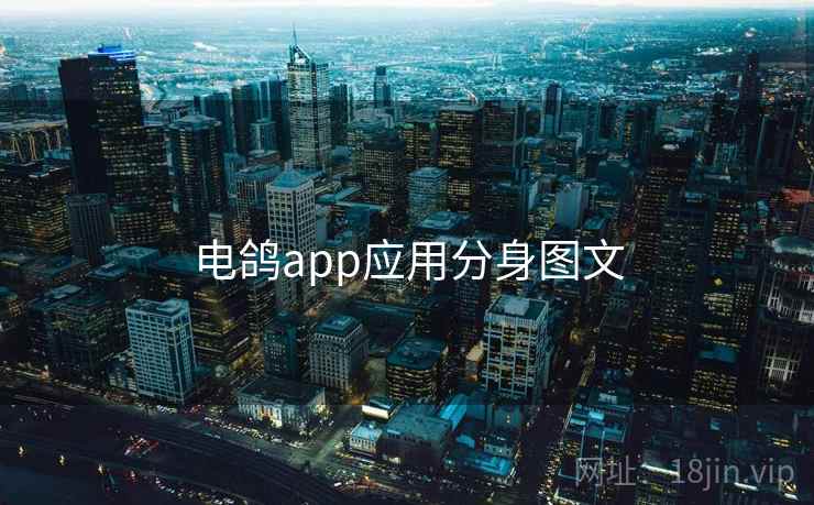 电鸽app应用分身图文