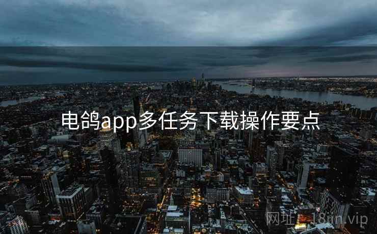 电鸽app多任务下载操作要点 电鸽app多任务下载操作要点