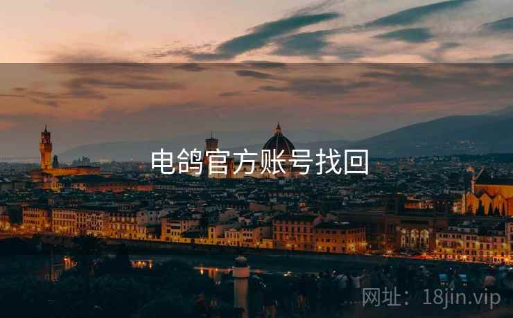 电鸽官方账号找回 电鸽官方账号找回
