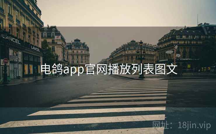 电鸽app官网播放列表图文 电鸽app官网播放列表图文