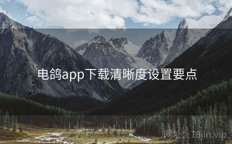 电鸽app下载清晰度设置要点