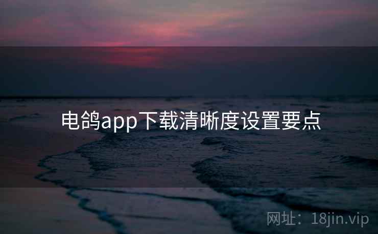 电鸽app下载清晰度设置要点